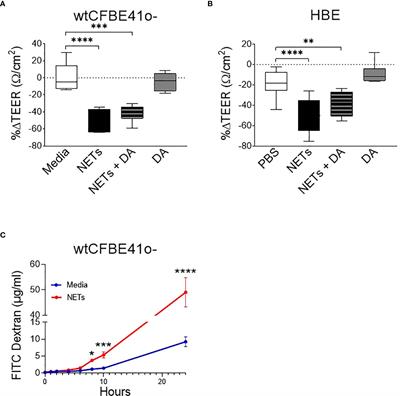 Alpha-1 antitrypsin limits neutrophil extracellular trap disruption of airway epithelial barrier function